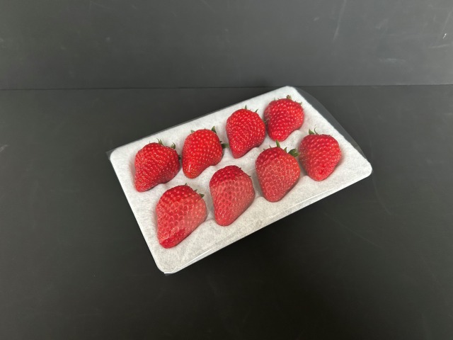 農家など幅広く注目 コバヤシいちごハンモックトレー